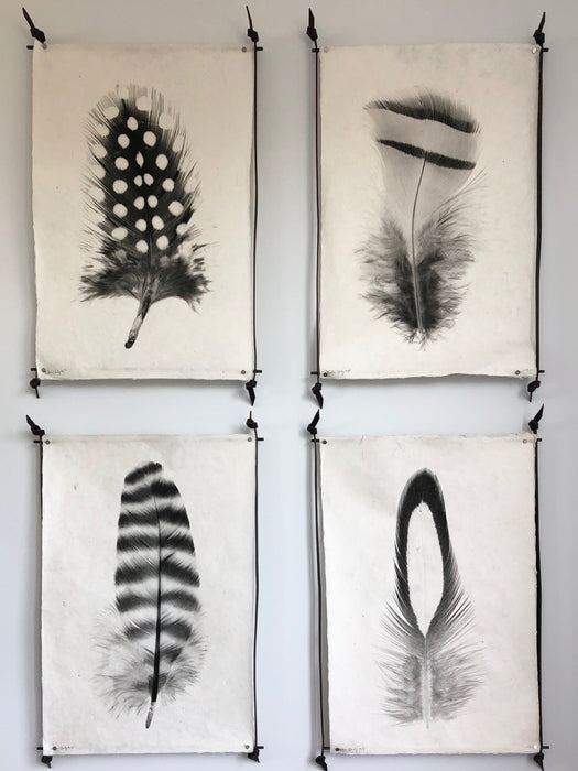 Feather Study #14